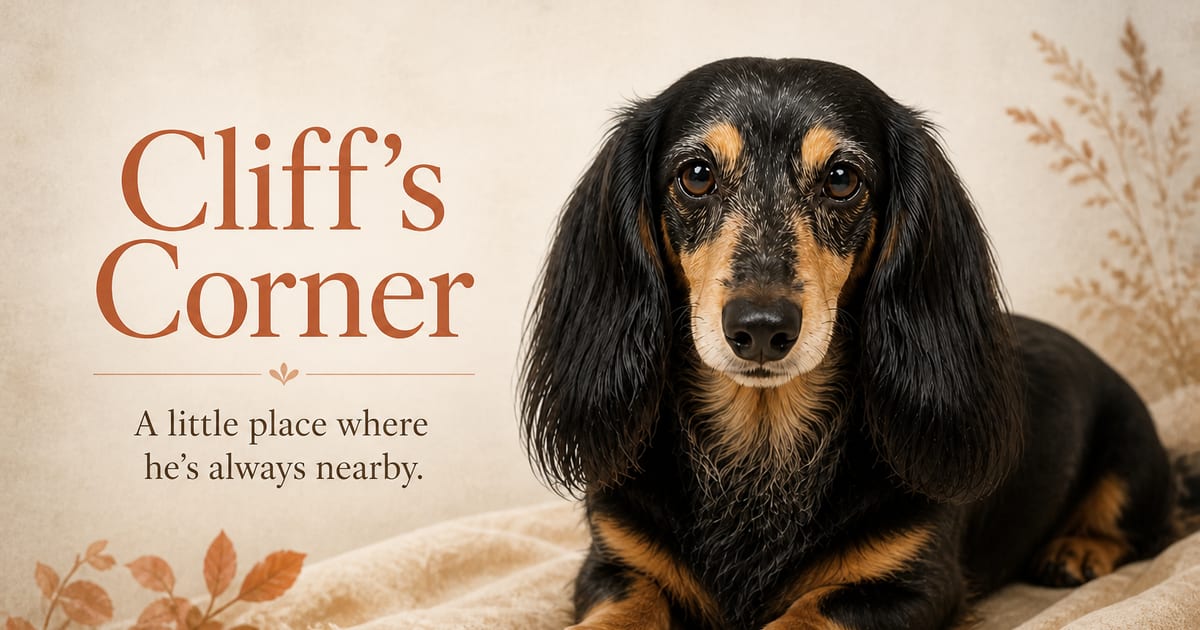 Cliff resting in his portrait for Cliff’s Corner